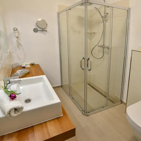 U Kaplicky Hotel 4*