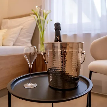 U Kaplicky فندق 4*