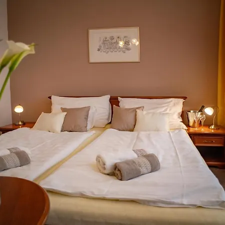 Hotel U Kaplicky Pisek (South Bohemian)