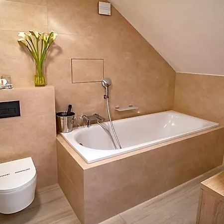 U Kaplicky Hotel 4*